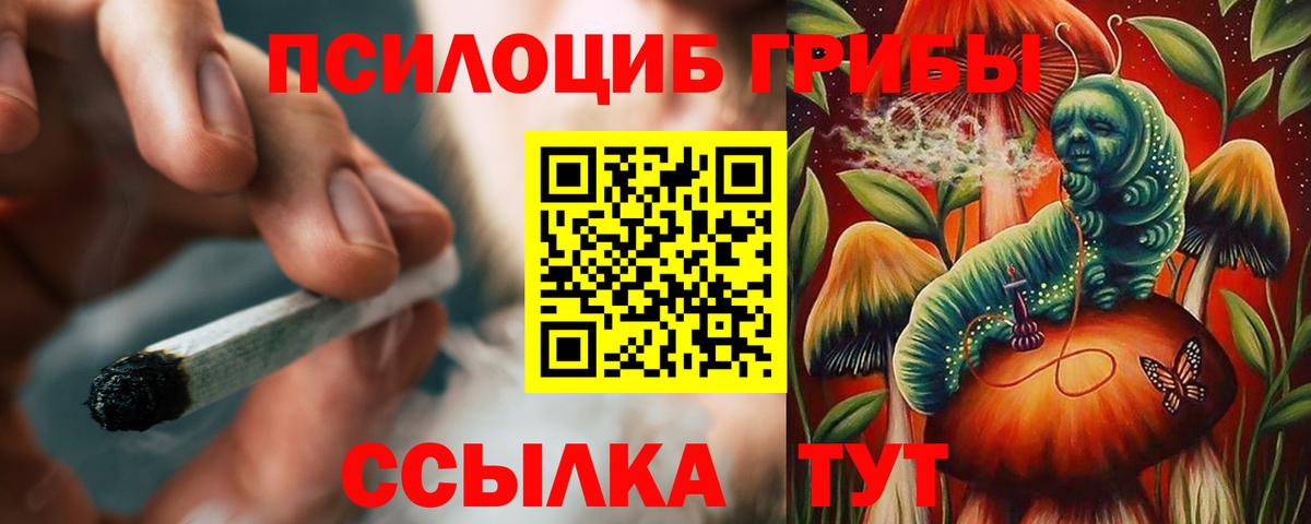 Псилоцибиновые грибы Psilocybe  Вход с VPN  Дзержинск  Галлюциногенные грибы GOLDEN TEACHER 